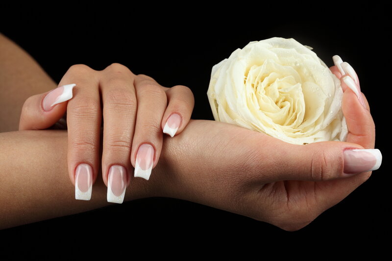 Hands Holding White Rose