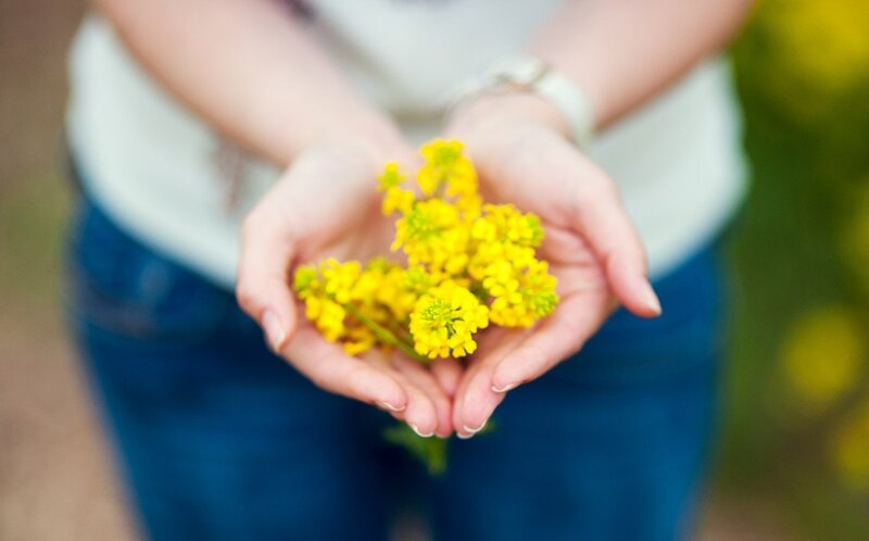 Hands Holding Yellow Flowers