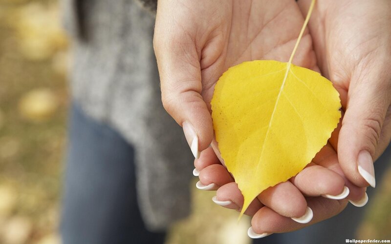 Hands Holding Yellow Leaf — Calm, Autumn