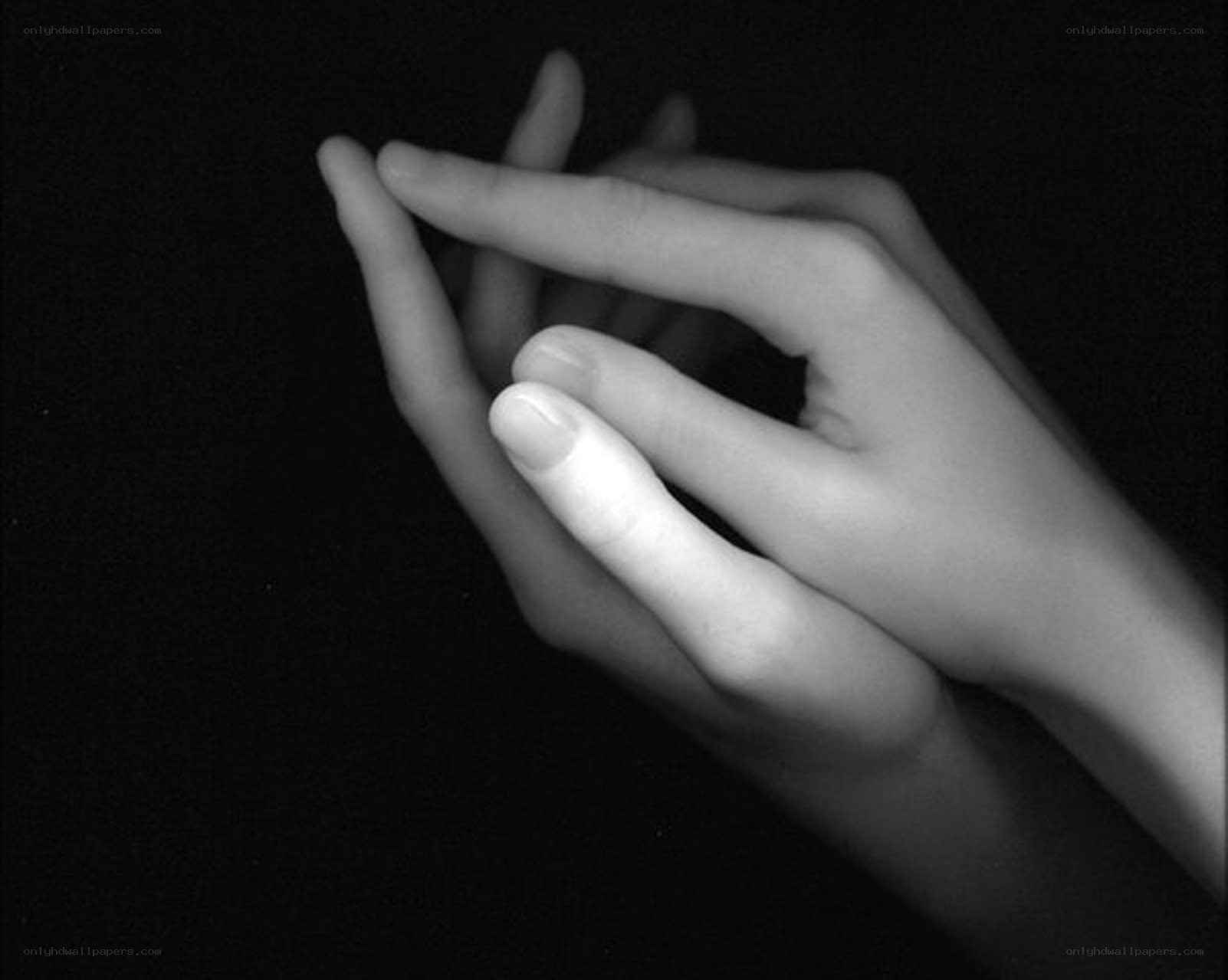 hands in black and white