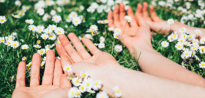 Hands in Daisy Field