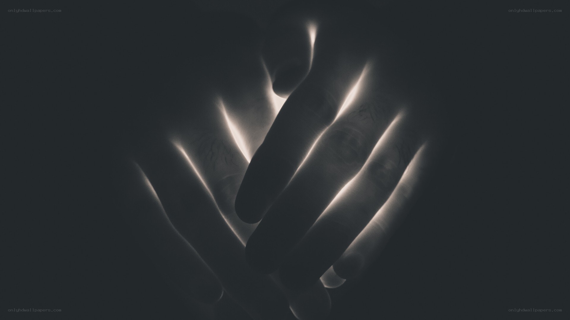 hands in silhouette