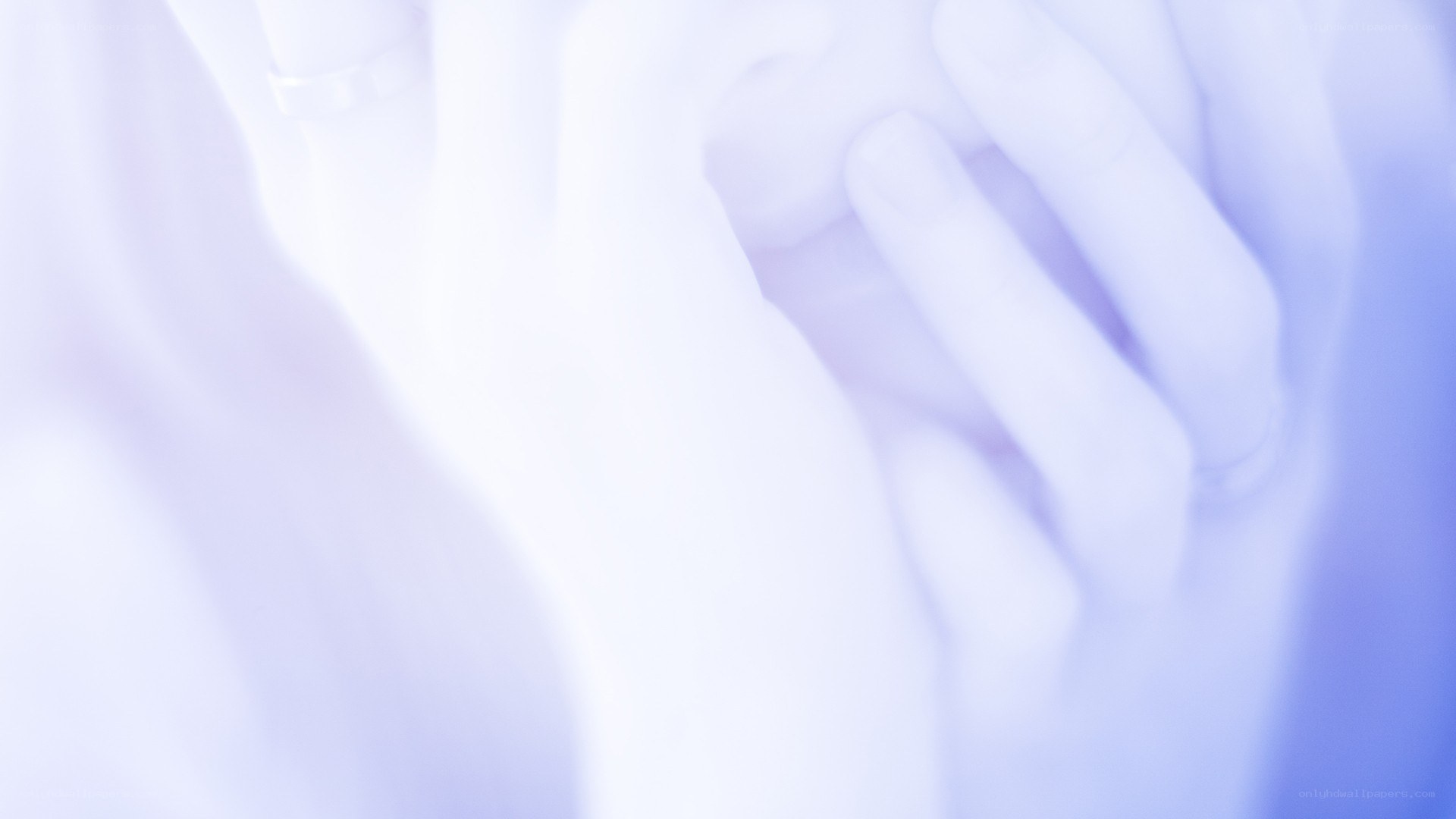 hands in soft light
