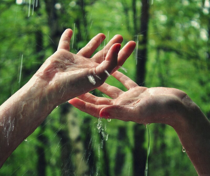 hands in the rain