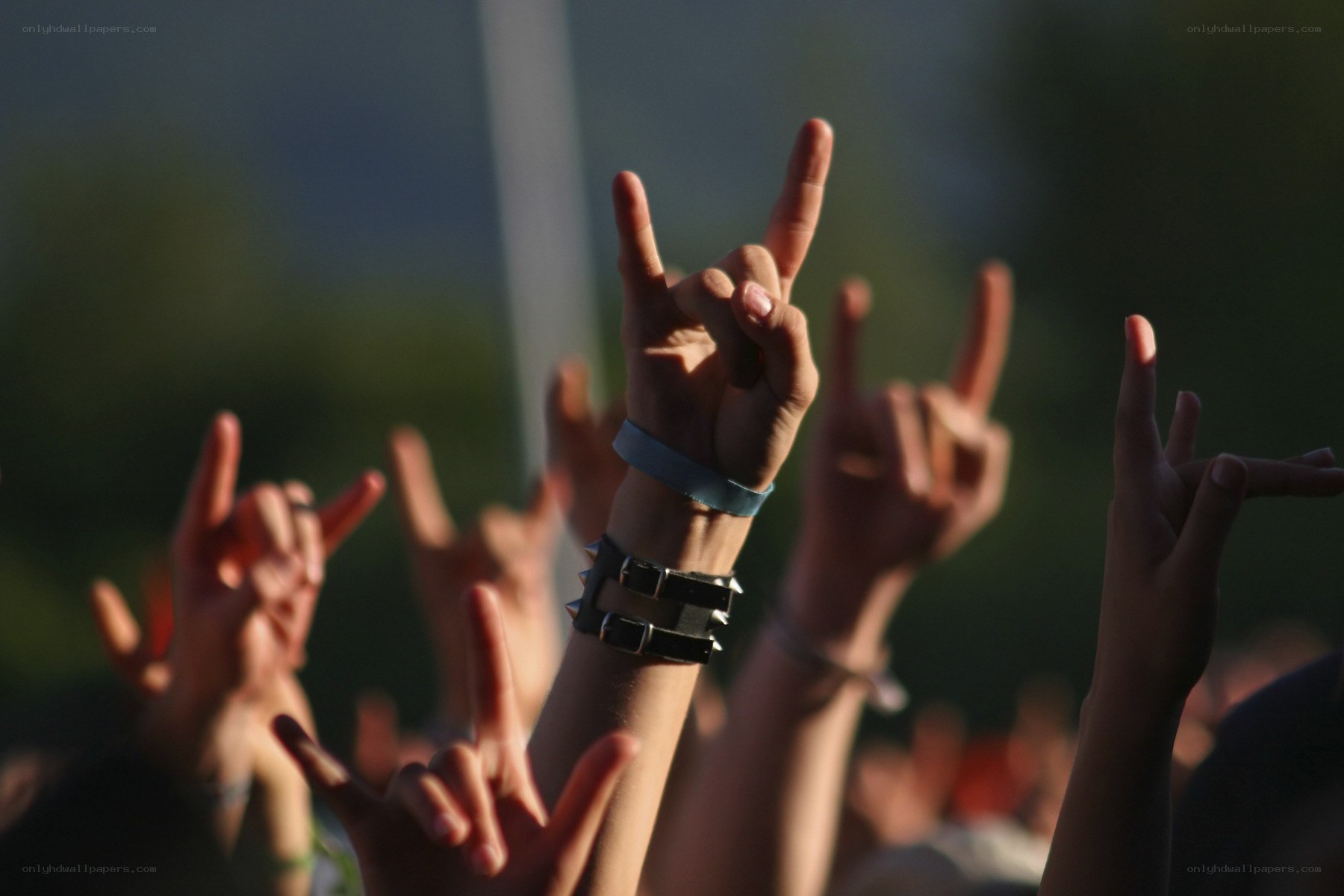 Hands making rock-on gesture