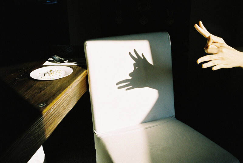 Hands Making Shadow Puppet
