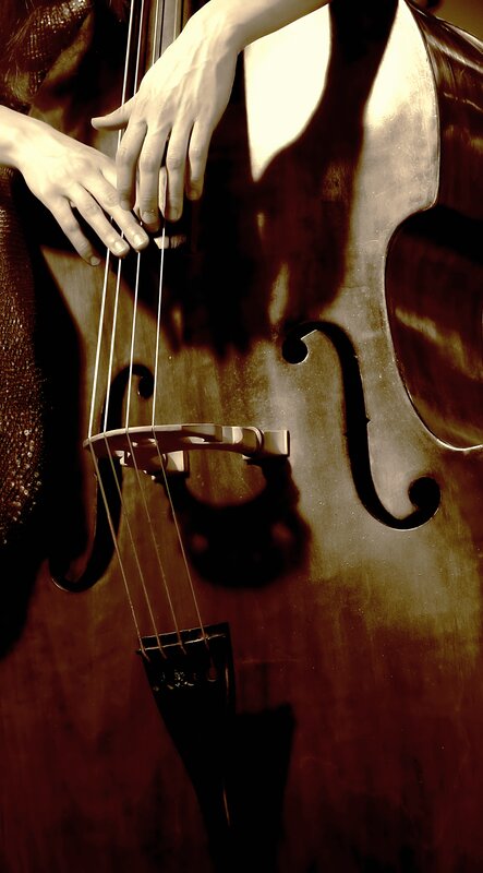 hands on double bass