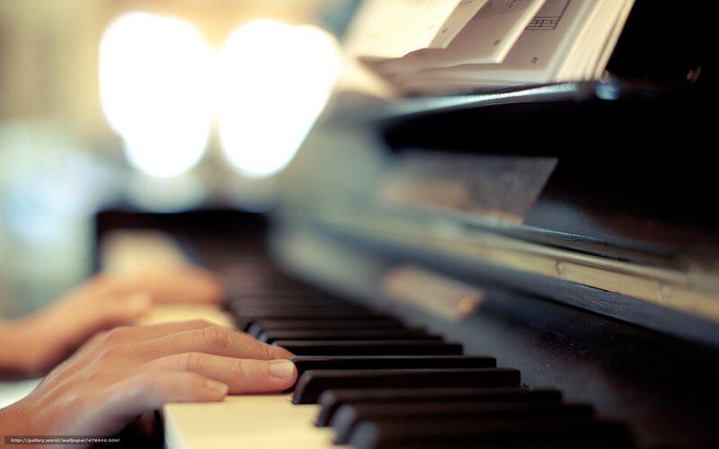 Hands on Piano Keys — Black, Calm, Photograph