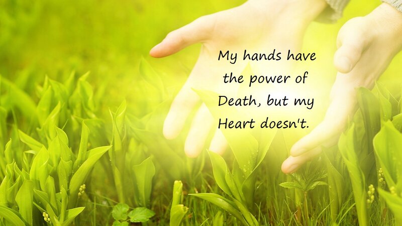 Hands over Green Plants — Serene