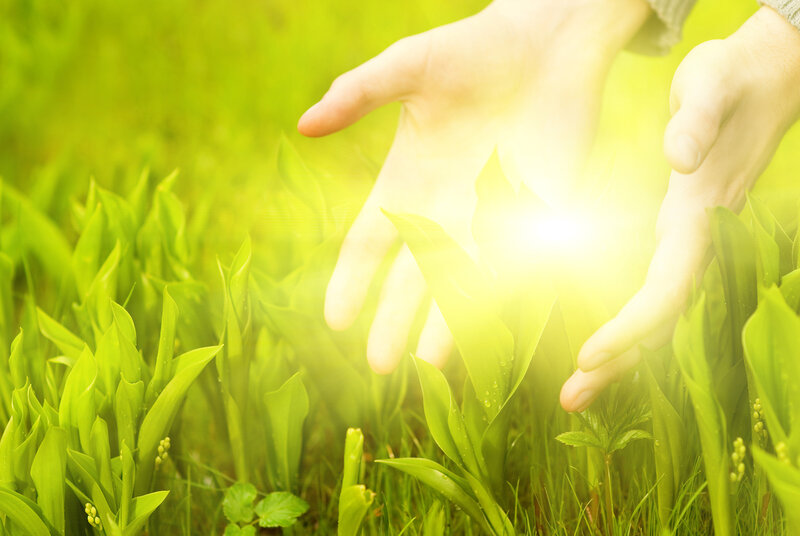 Hands over Green Plants