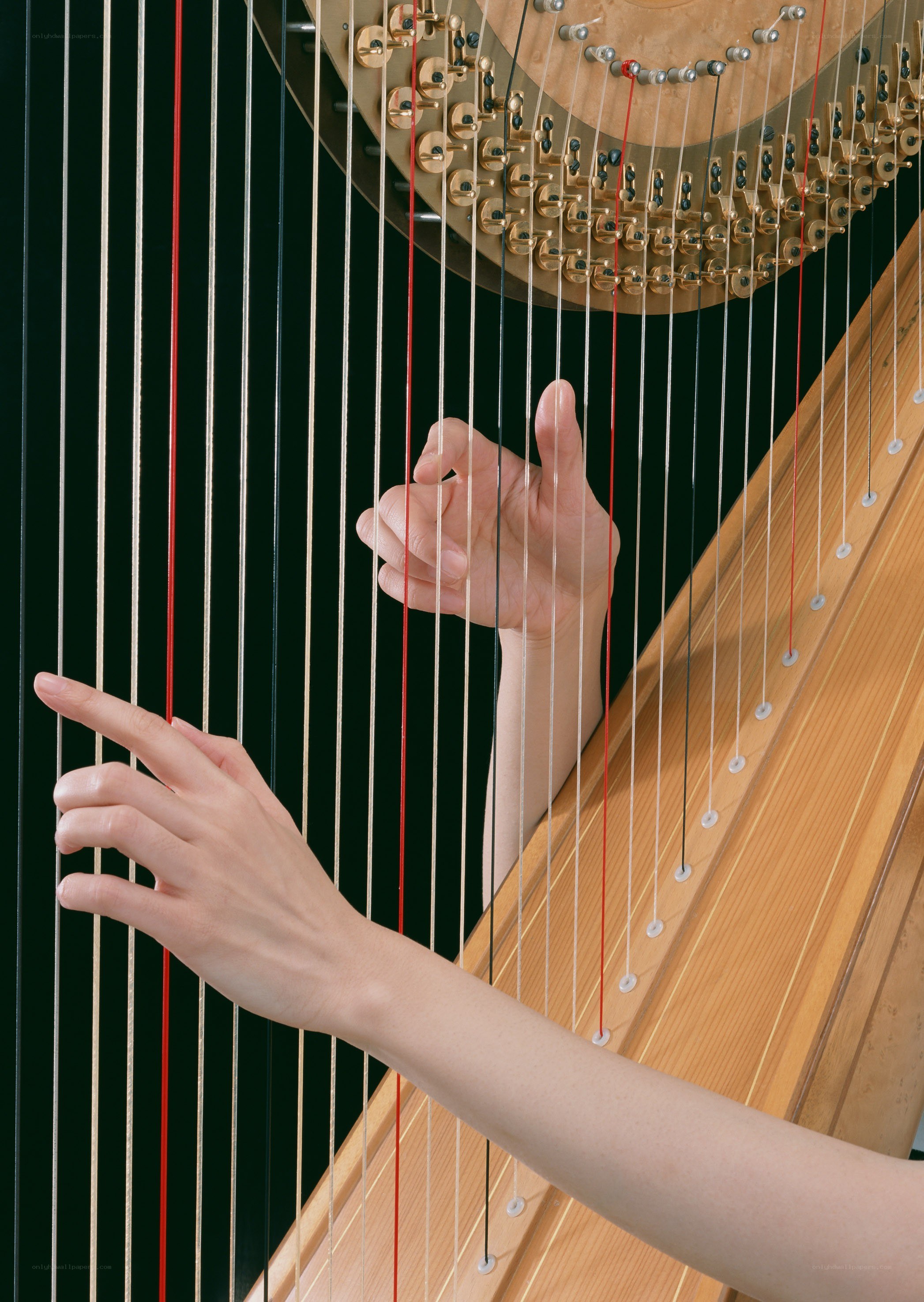 Hands playing a harp