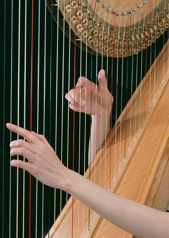 Hands Playing Harp