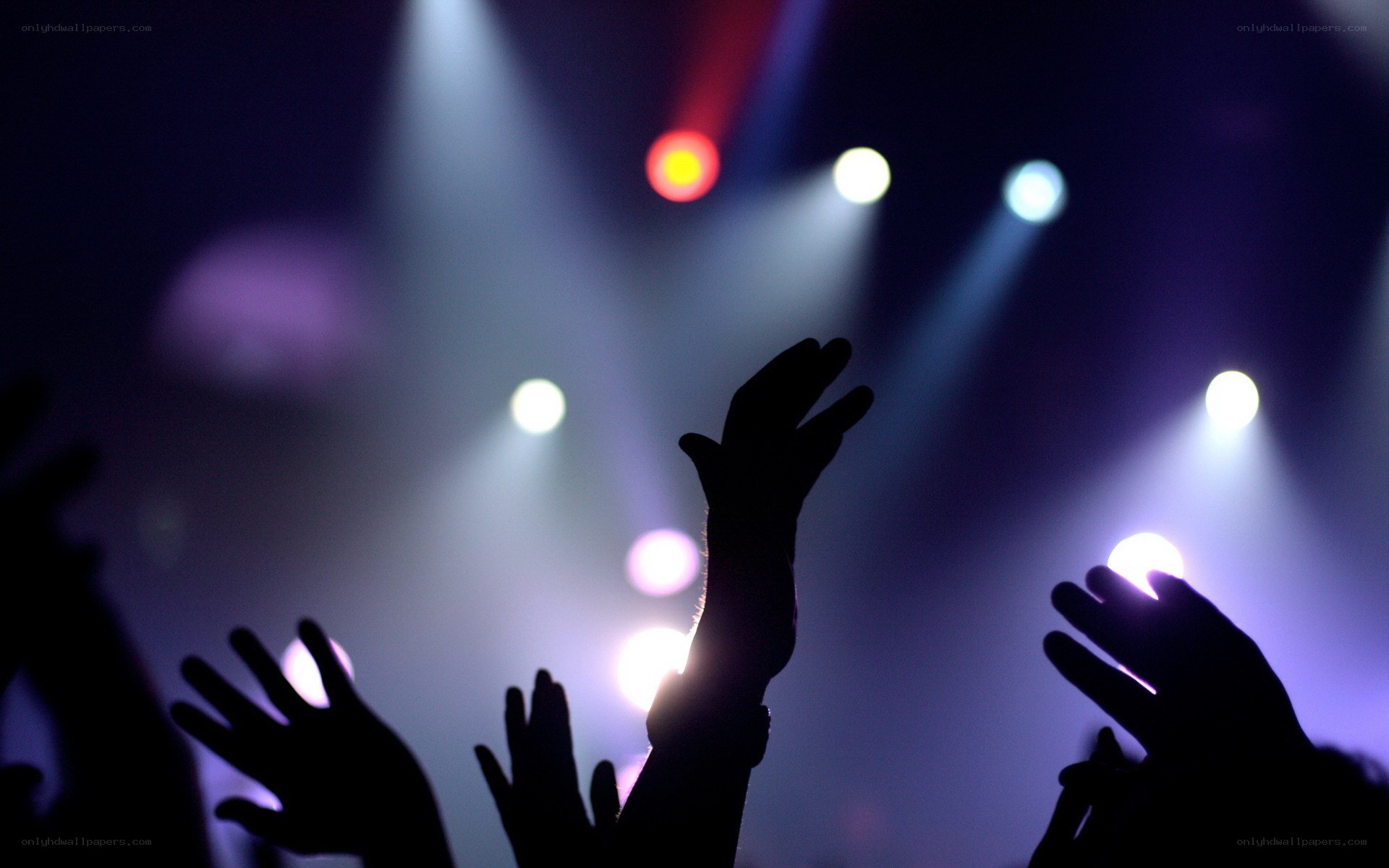 hands raised at concert