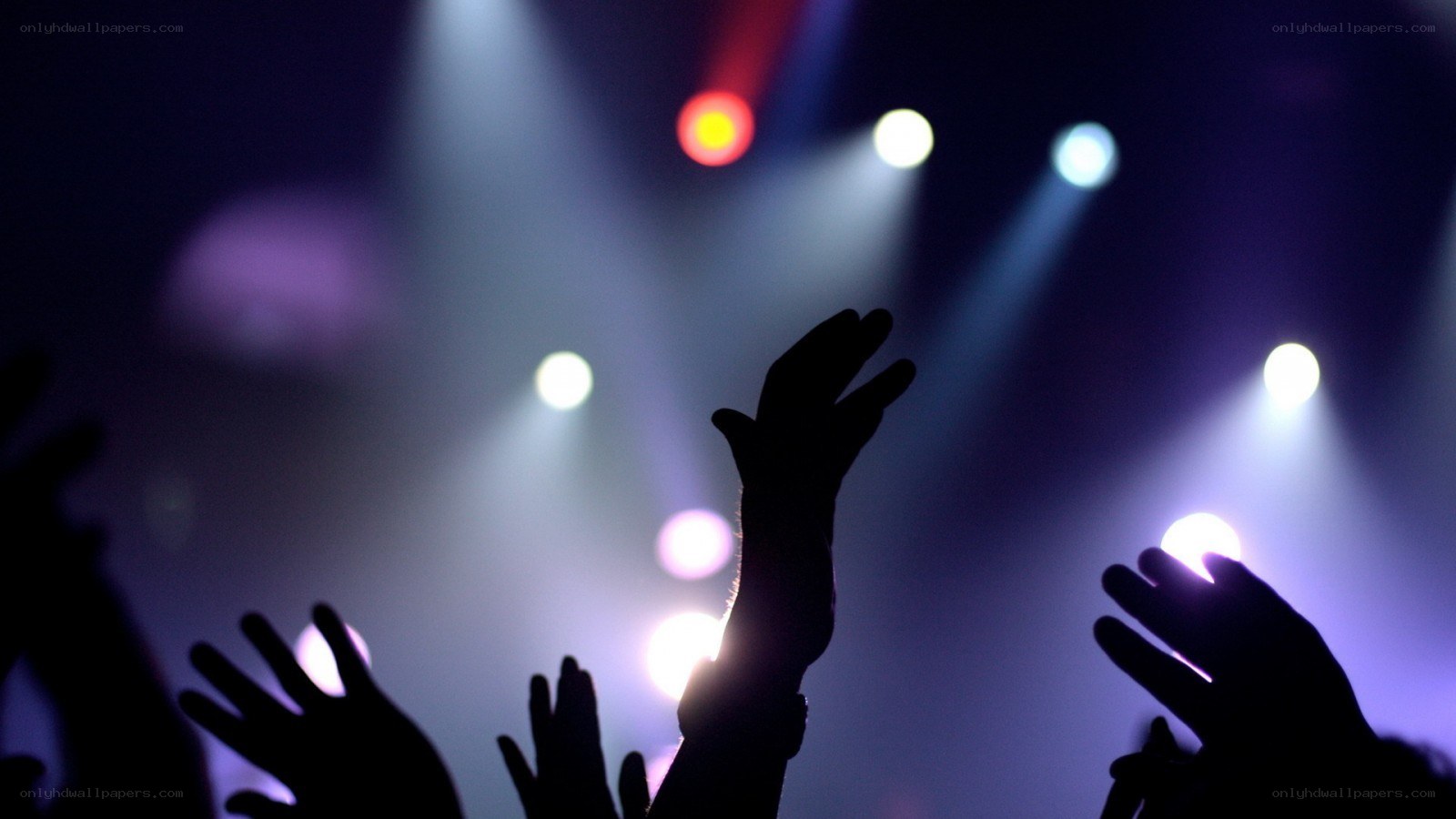 hands raised at concert
