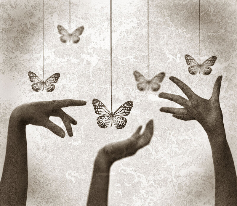 Hands Reaching for Butterflies