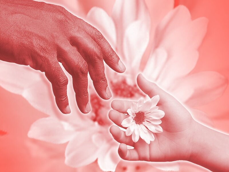 hands reaching for flower