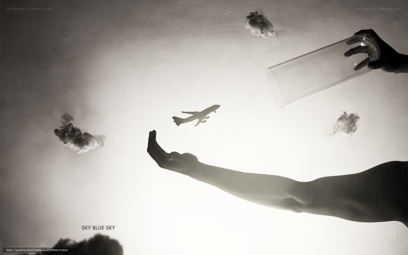 Hands reaching for sky