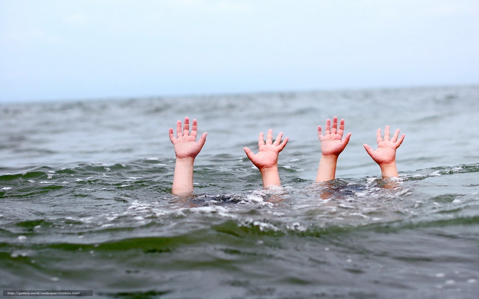 Hands reaching from water