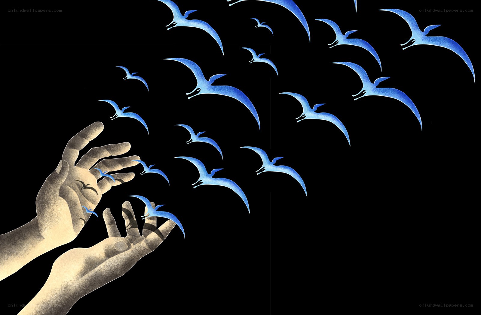 hands releasing blue birds