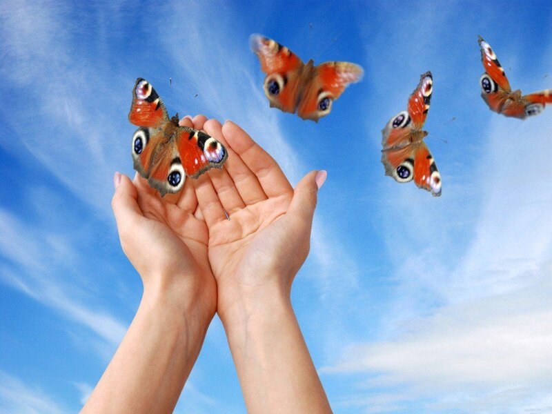 Hands Releasing Butterflies
