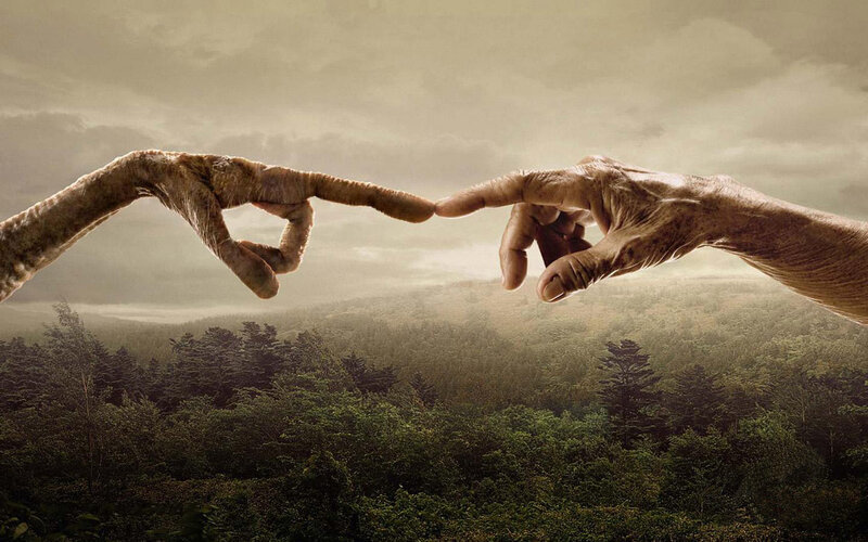 hands touching over forest