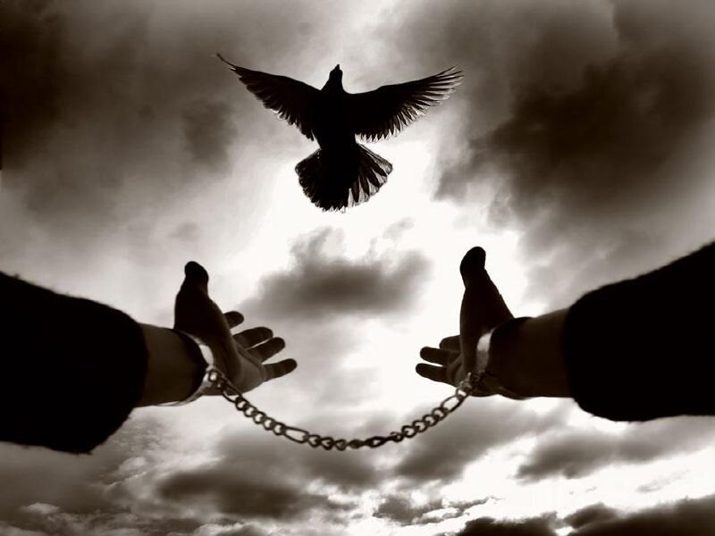 Hands with chains and a flying bird
