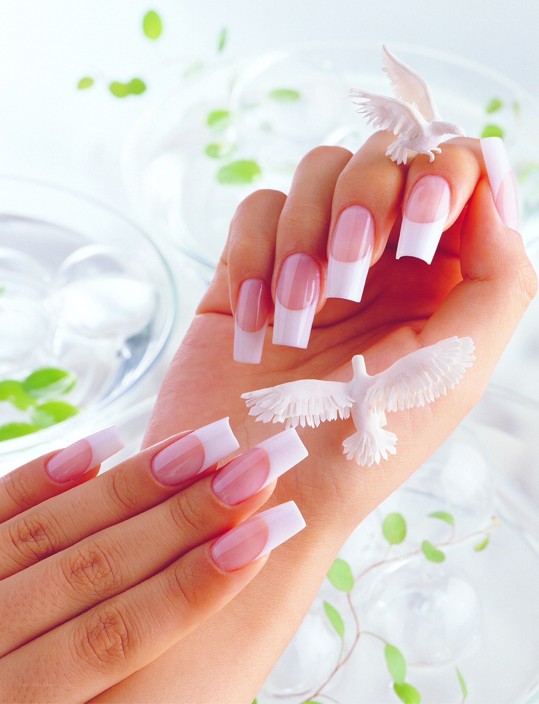 hands with dove nail art