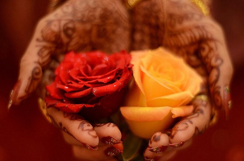 Hands with Henna Holding Roses — Red
