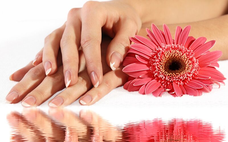 hands with manicure and flower