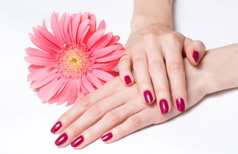 Hands with Manicure — Pink, Calm, Photograph, Flower