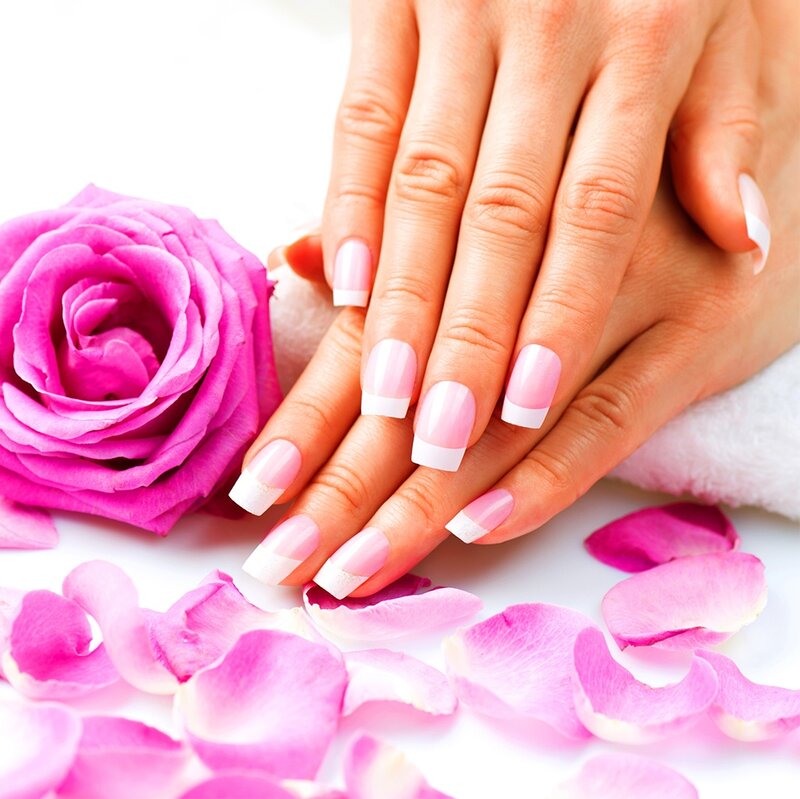 Hands with Manicure — Pink, Calm, Photograph, Rose
