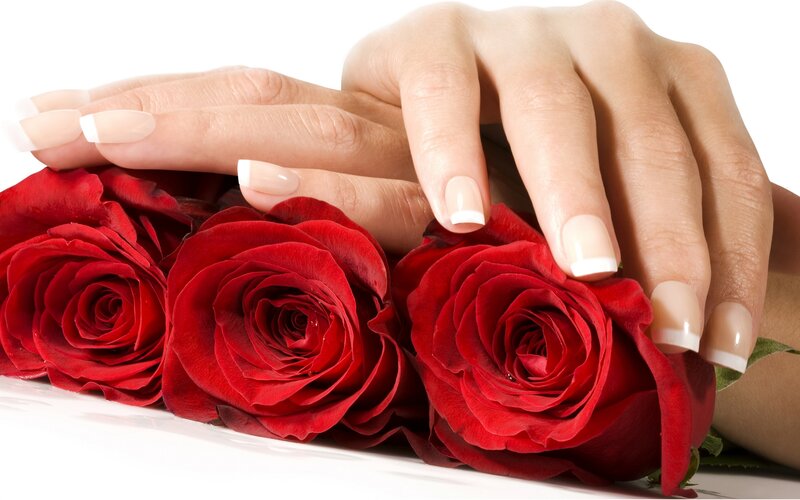 hands with manicured nails and roses