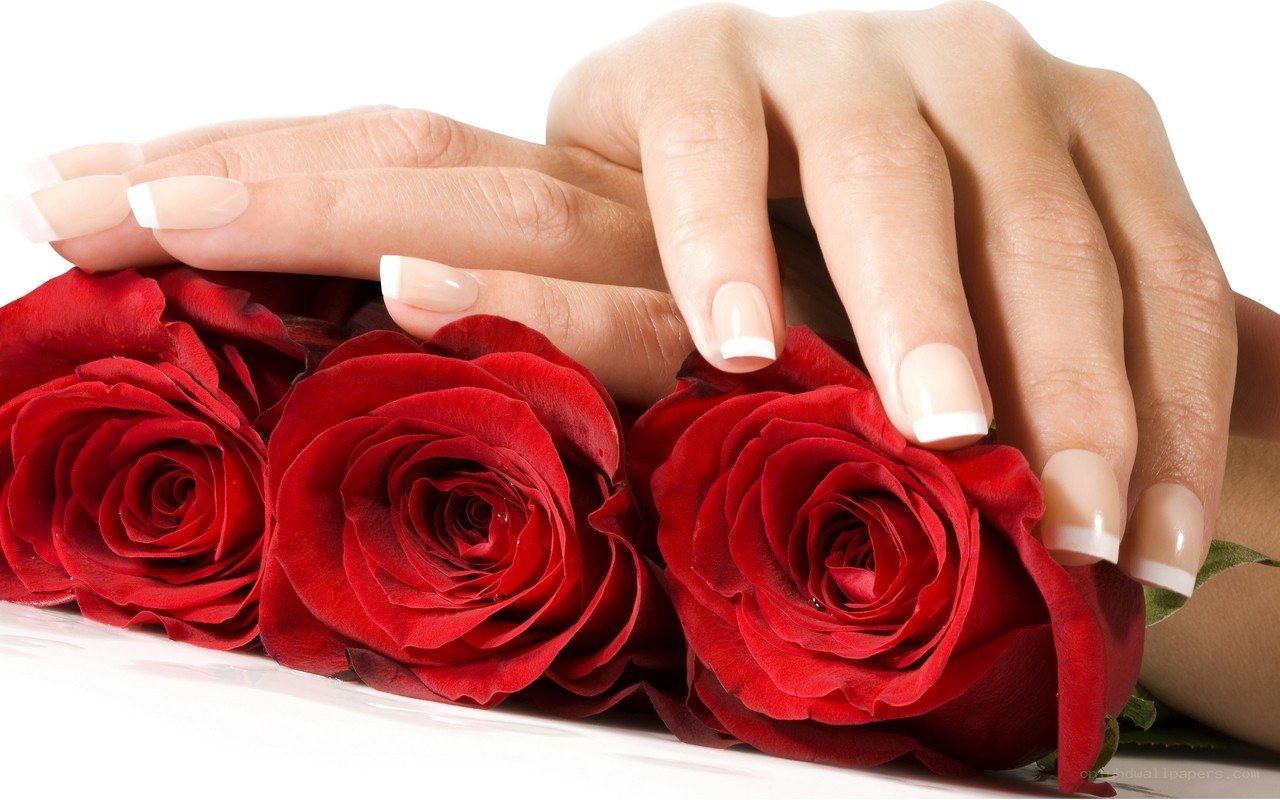 hands with manicured nails and roses