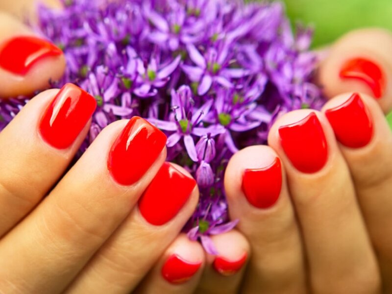 Hands with Red Nails — Calm, Photograph, Flowers