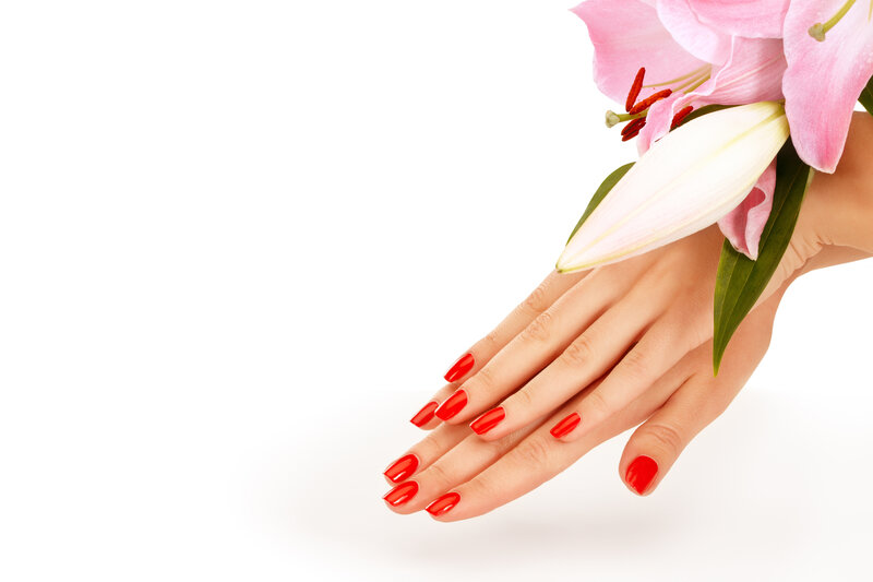 Hands with Red Nails — Calm, Photograph, Lily Flower, Green Leaves