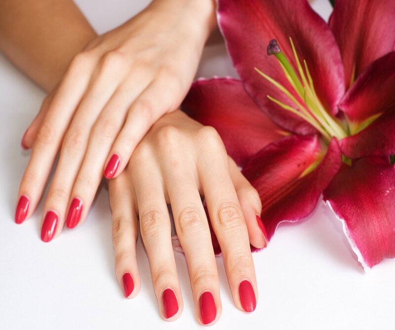 Hands with Red Nails — Calm, Photograph, Lily Flower
