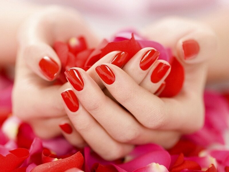Hands with Red Nails — Calm, Photograph, Rose Petals