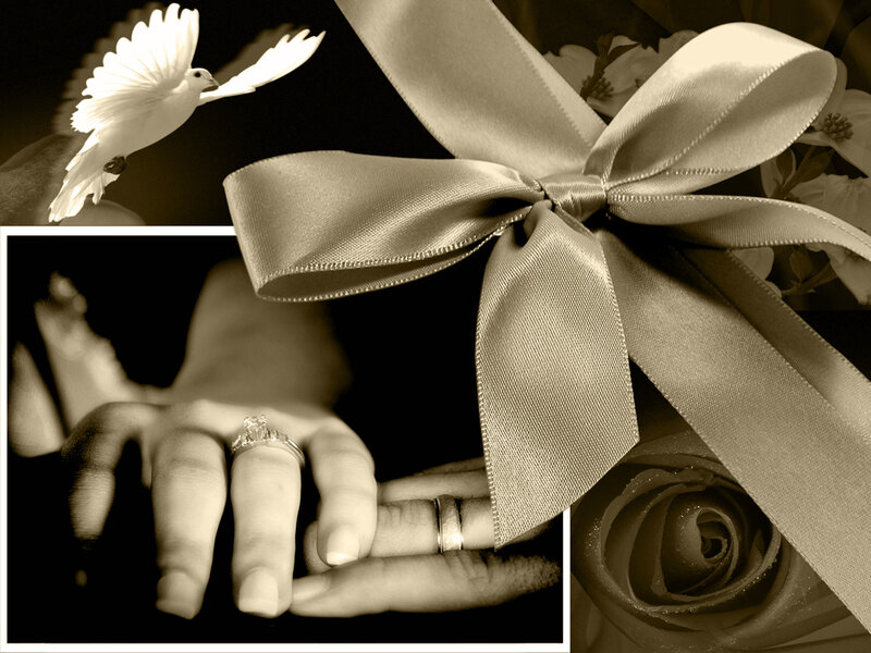 Hands with Wedding Rings