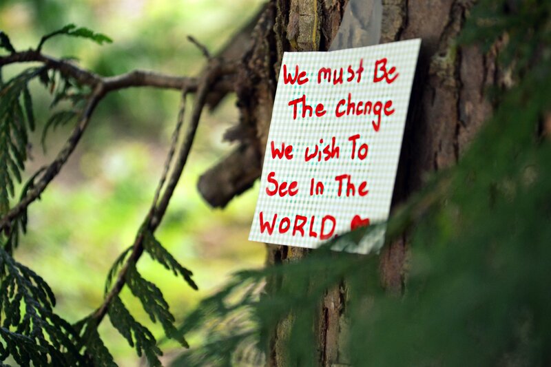 Handwritten Sign on Tree