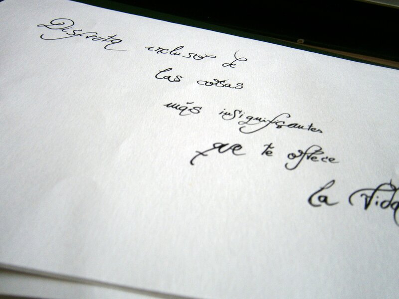 Handwritten Spanish Text