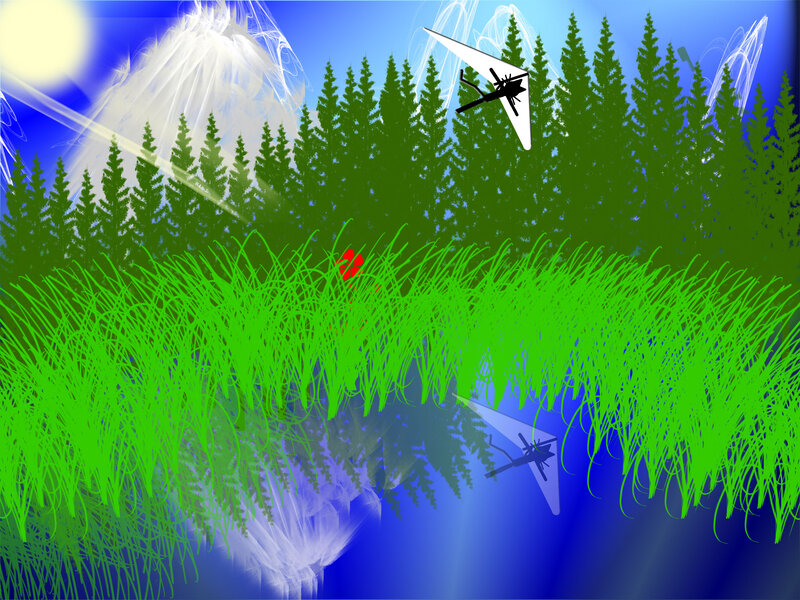 Hang Glider over Forest