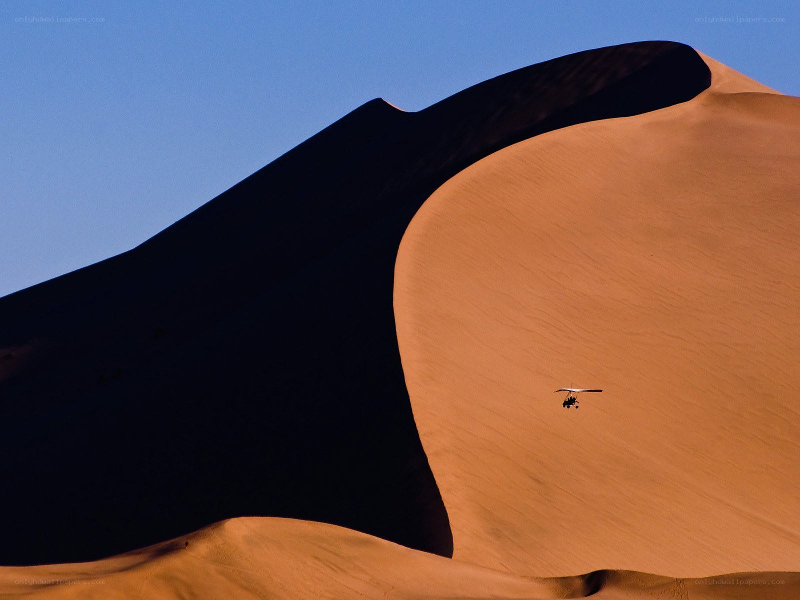 Hang glider over sand dune