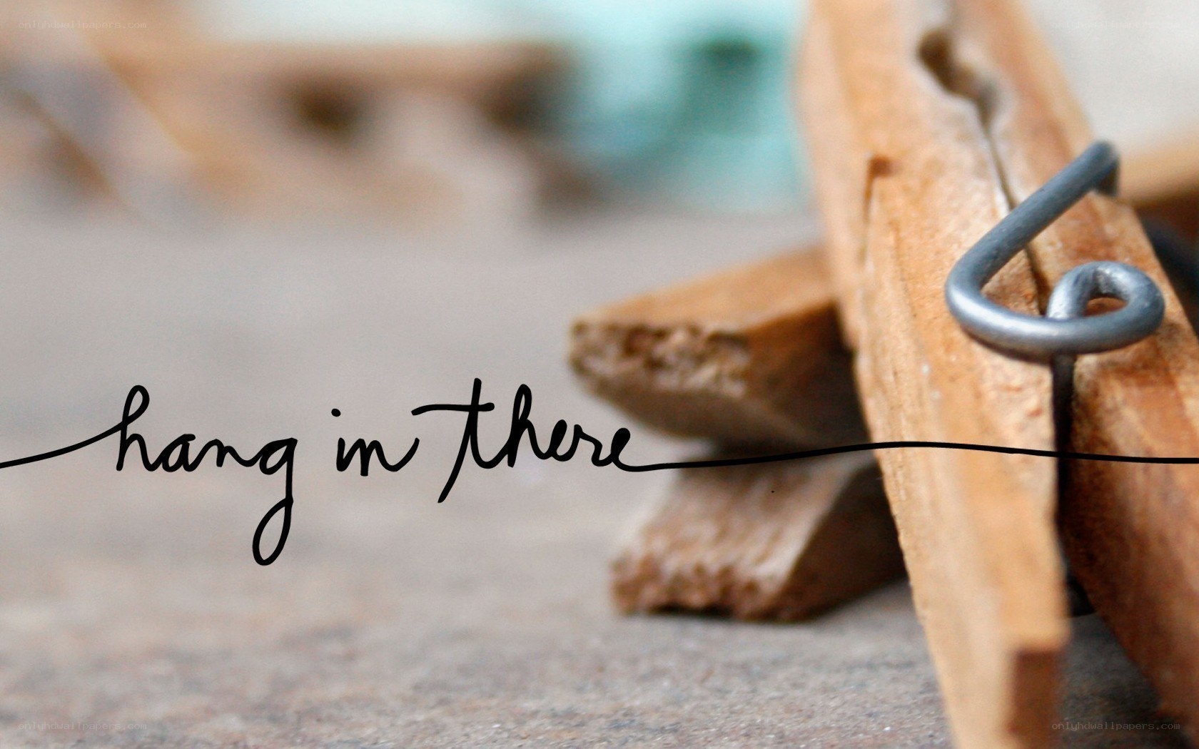 hang in there clothespin