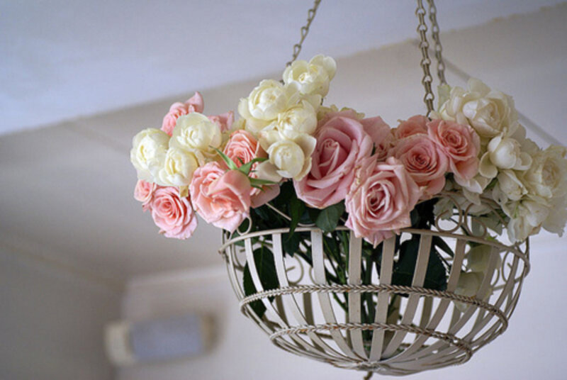 Hanging Basket of Roses