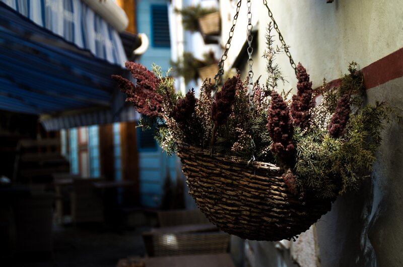 Hanging Basket with Dried Plants