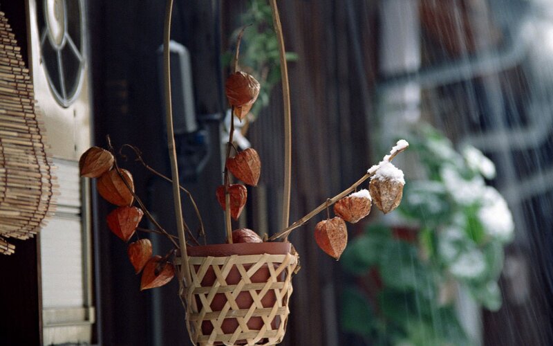 hanging basket with snow