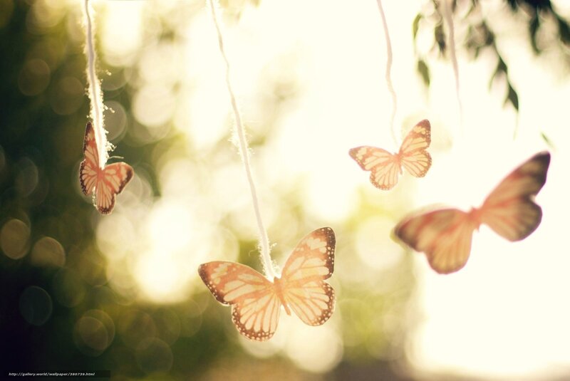 Hanging Butterfly Decorations — Yellow, Serene