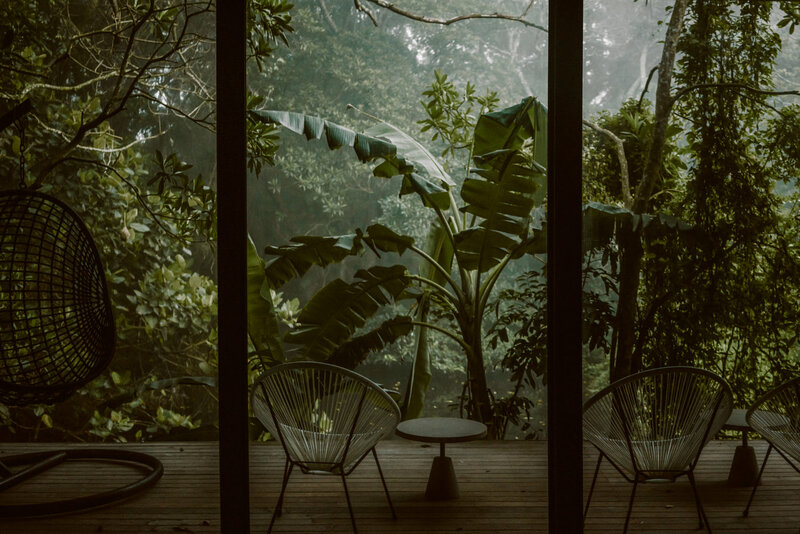Hanging Chair in Jungle