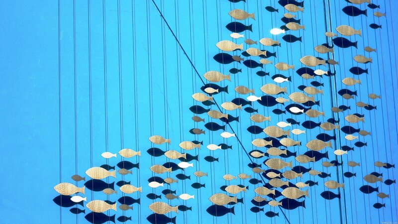hanging fish art installation