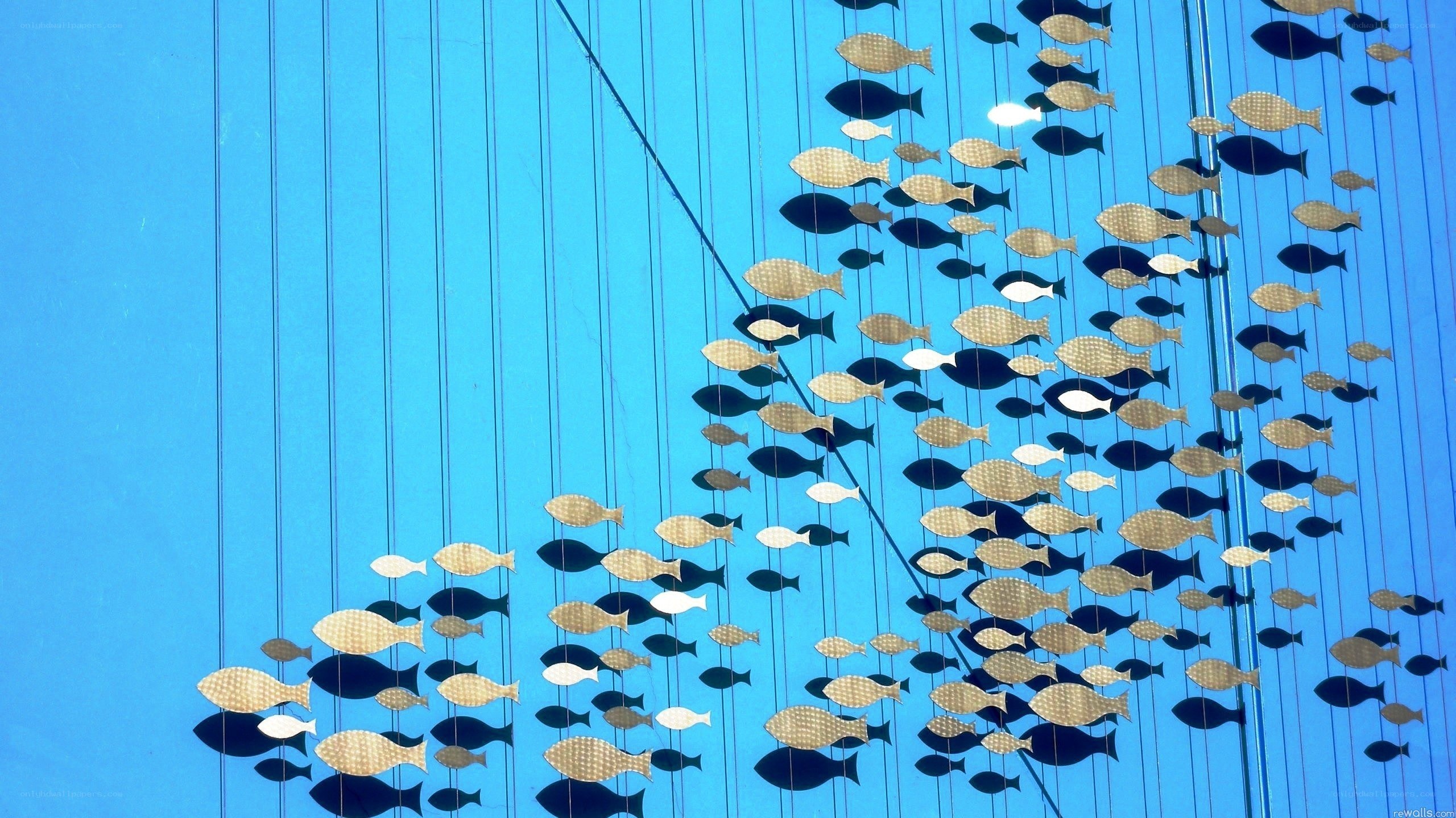hanging fish art installation